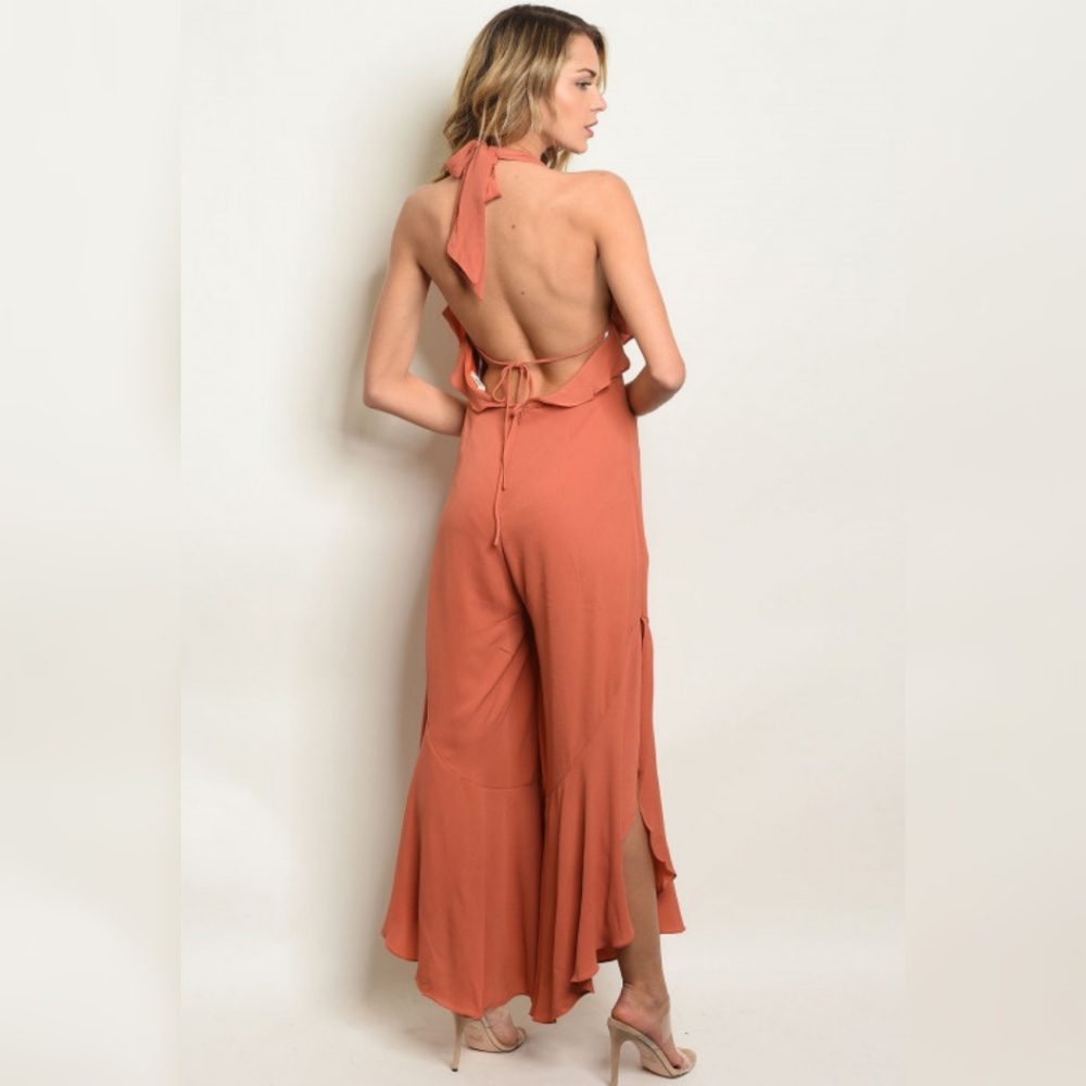Earth Jumpsuit V-neck - Picture 3 of 3